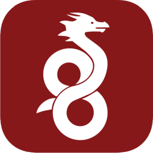 WireGuard logo